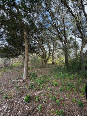 KEENE RD LOT 5, ALTOONA, FL 32702, photo 3 of 14