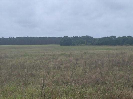 PINE ISLAND RD, CLERMONT, FL 34711, photo 2 of 6