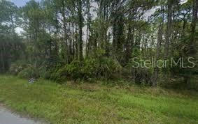 CARSON AVE, BABSON PARK, FL 33827, photo 1 of 2