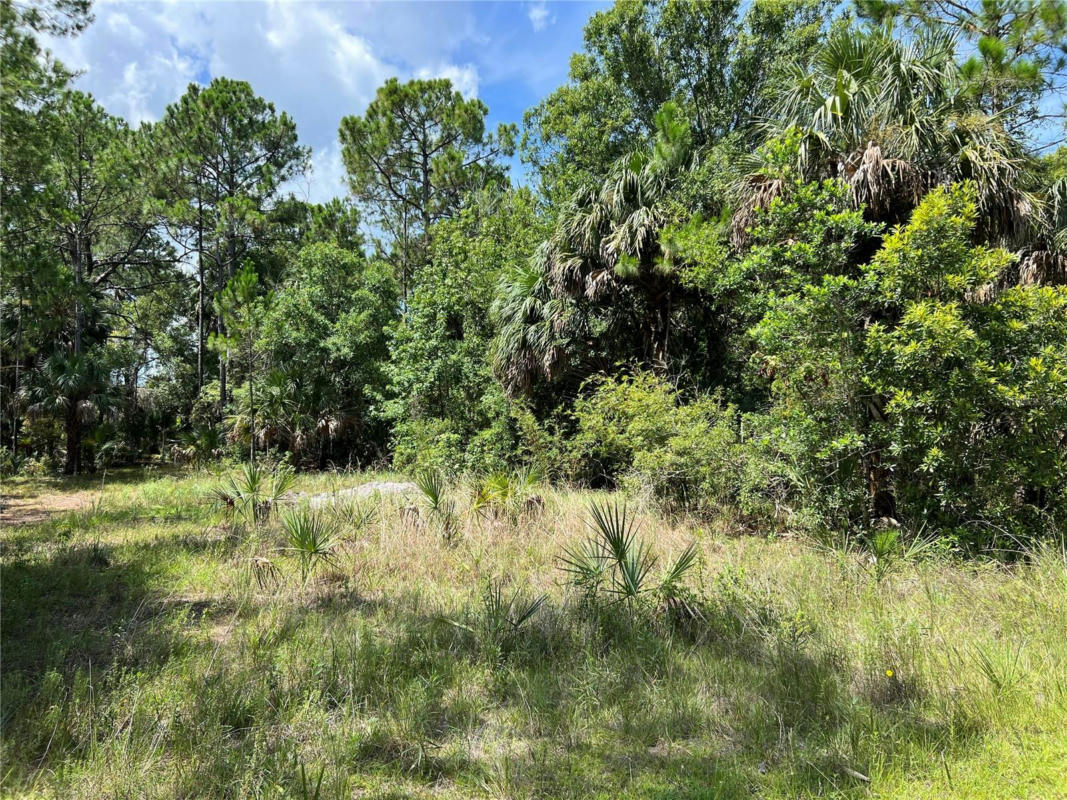 TBD GIRARD ROAD, HUDSON, FL 34679, photo 1 of 2