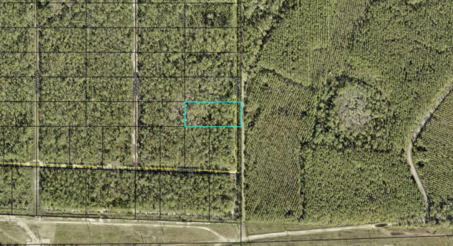 X AMOS AVENUE, HASTINGS, FL 32145 - Image 1