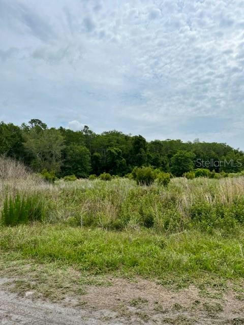 TBD NE 95TH AVENUE, HAWTHORNE, FL 32640, photo 1 of 8