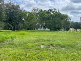 S PINE AVE, FORT MEADE, FL 33841, photo 1