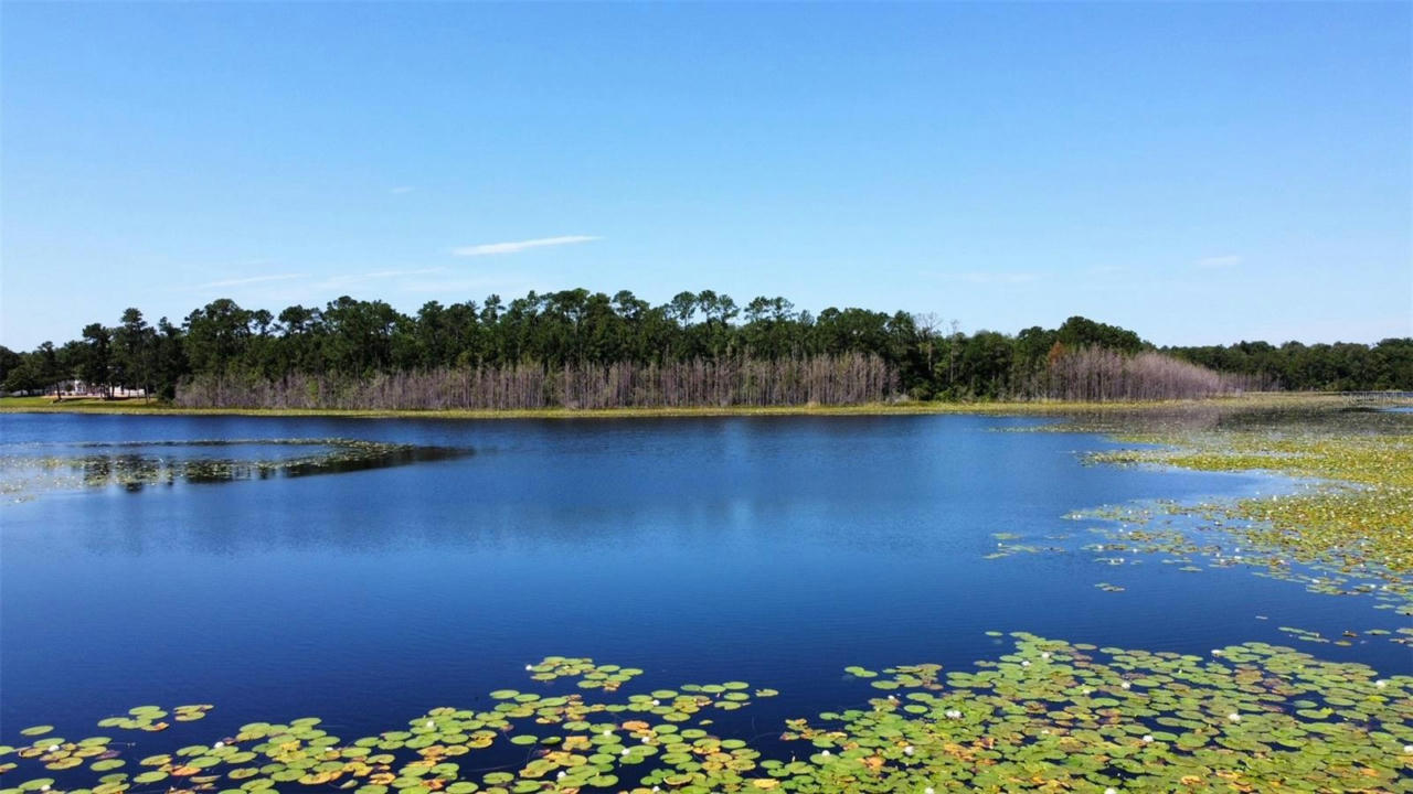 KEENE RD LOT 3, ALTOONA, FL 32702, photo 1 of 13