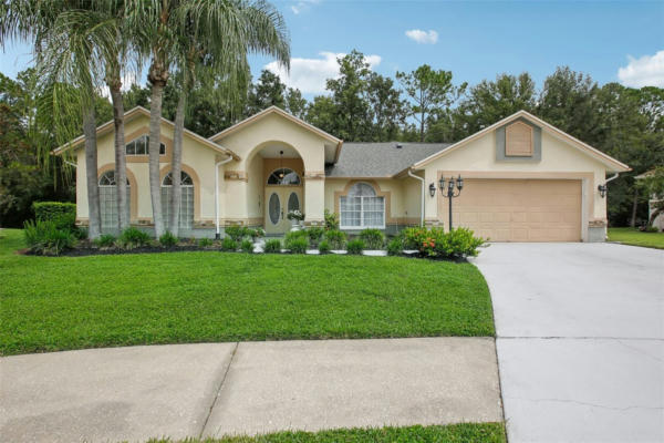 4870 BASSWOOD ST, LAND O LAKES, FL 34639 - Image 1