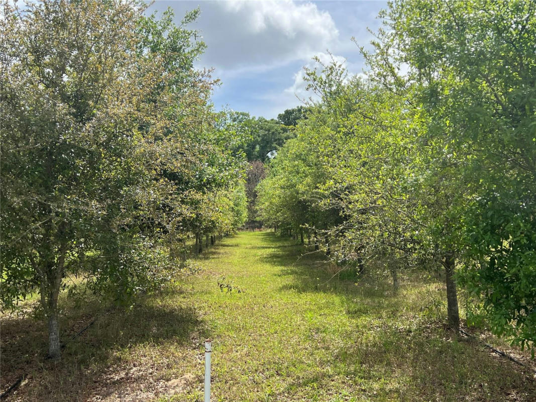 300 E HIGHWAY 316, CITRA, FL 32113, photo 1 of 16