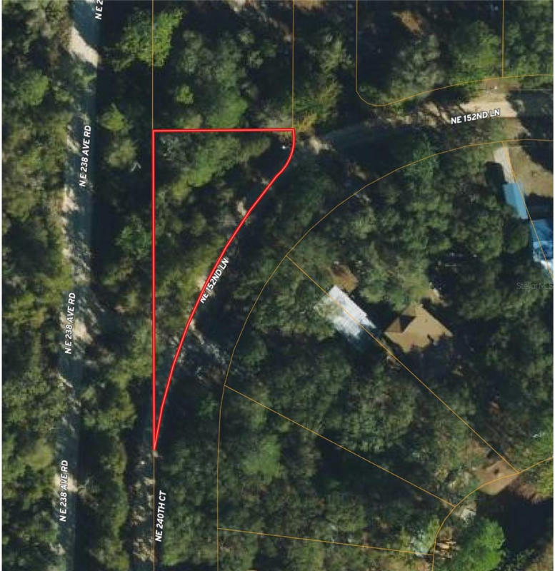 TBD NE 240TH COURT, SALT SPRINGS, FL 32134, photo 1 of 3