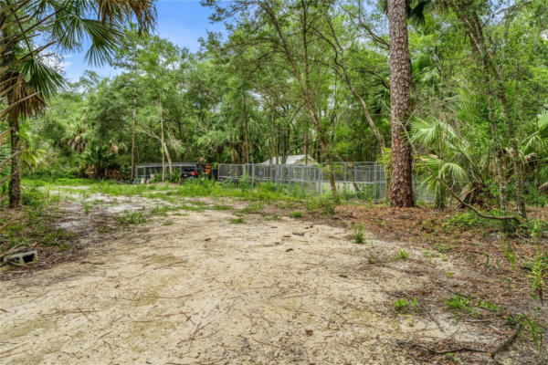 NW 25TH ST, CHIEFLAND, FL 32626 - Image 1